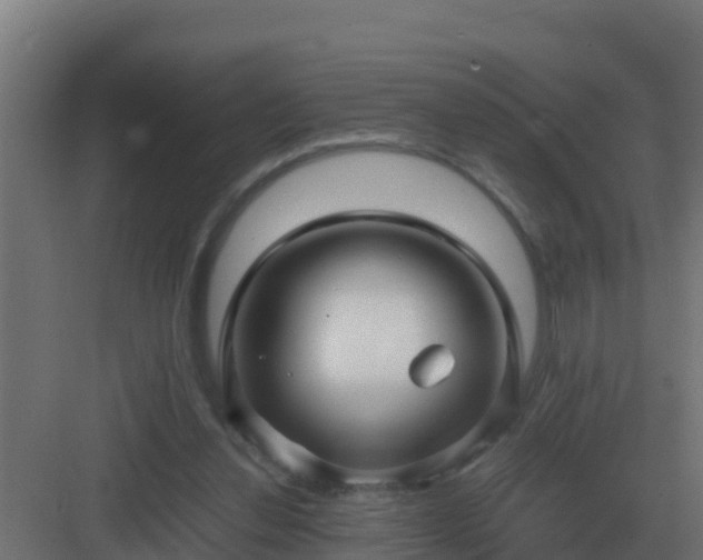 X0000083000252200702081908