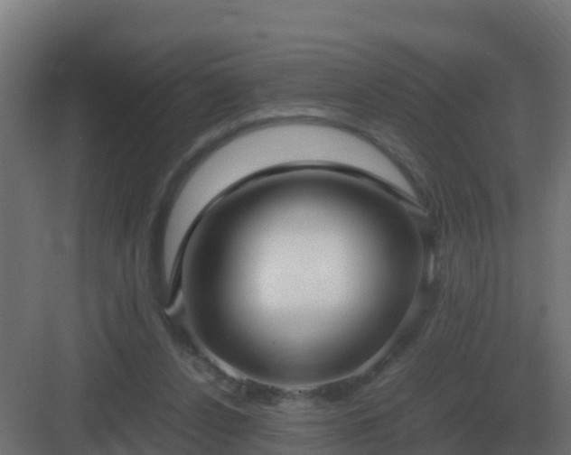 X0000083000256200702081908