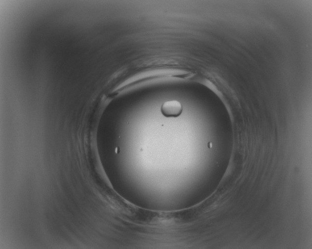 X0000083000260200702081908