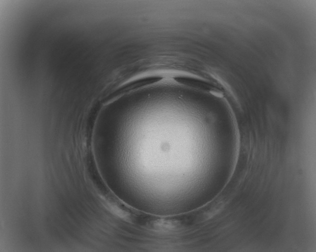 X0000083000261200702081908