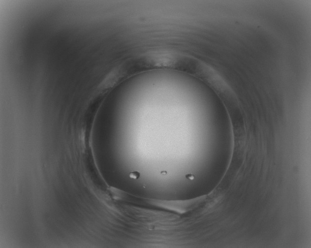 X0000083000262200702081908