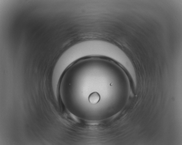 X0000083000264200702081908