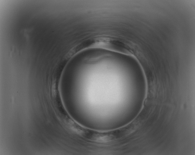 X0000083000267200702081908