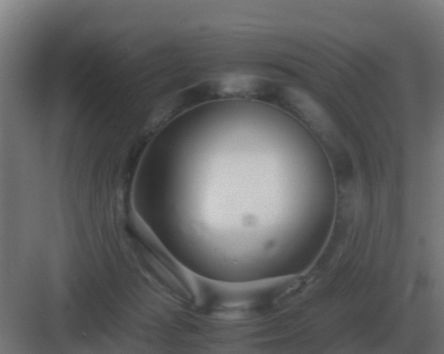 X0000083000269200702081908