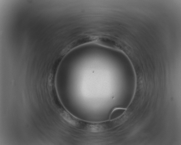 X0000083000275200702081908