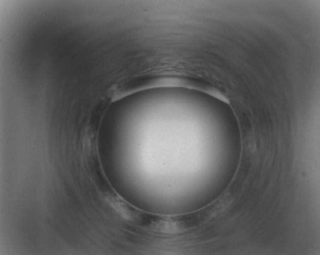 X0000083000276200702081908