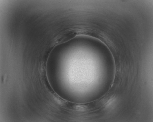 X0000083000277200702081908