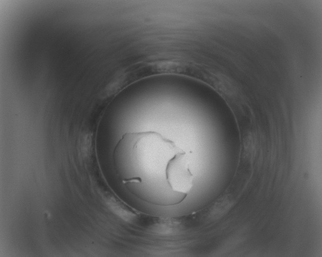 X0000083000278200702081908