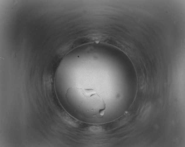 X0000083000279200702081908