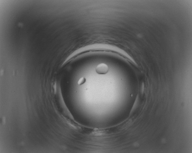 X0000083000280200702081908