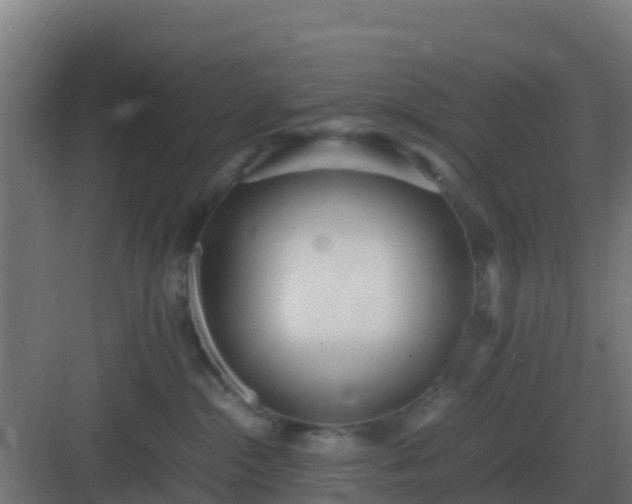 X0000083000284200702081908