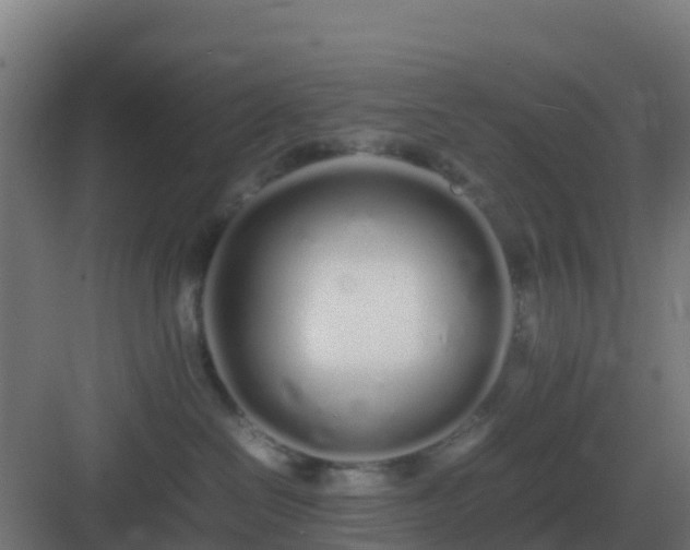 X0000083000286200702081908