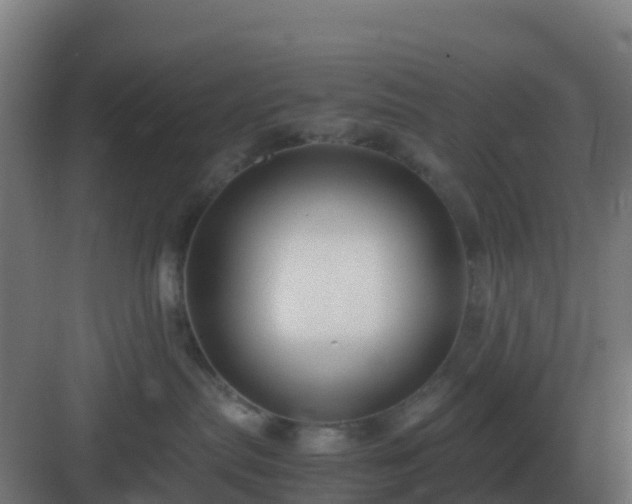 X0000083000287200702081908