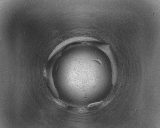 X0000083000288200702081908