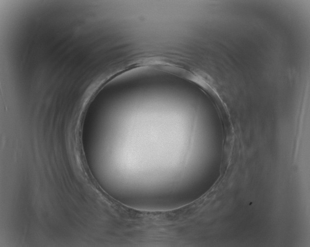 X0000083000289200702081907