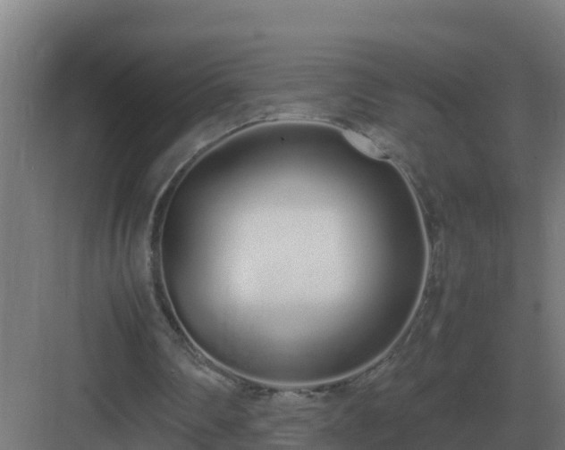 X0000083000290200702081907