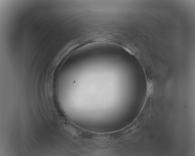 X0000083000291200702081907