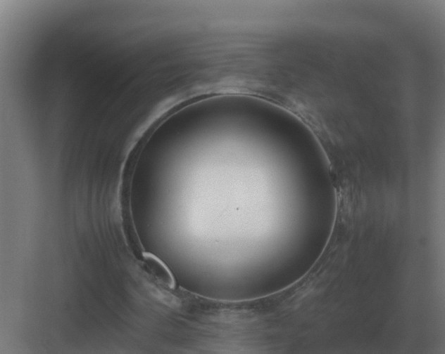 X0000083000292200702081907