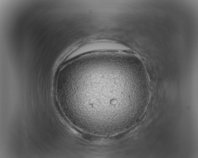 X0000083000293200702081907