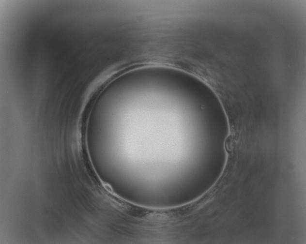 X0000083000294200702081907