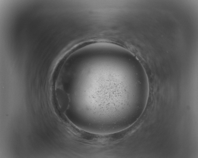 X0000083000295200702081907