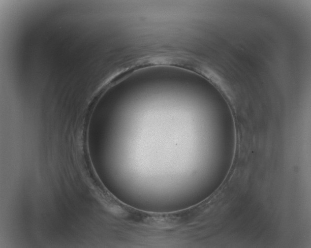 X0000083000297200702081907