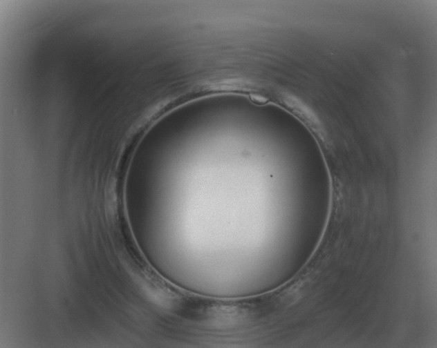 X0000083000298200702081907