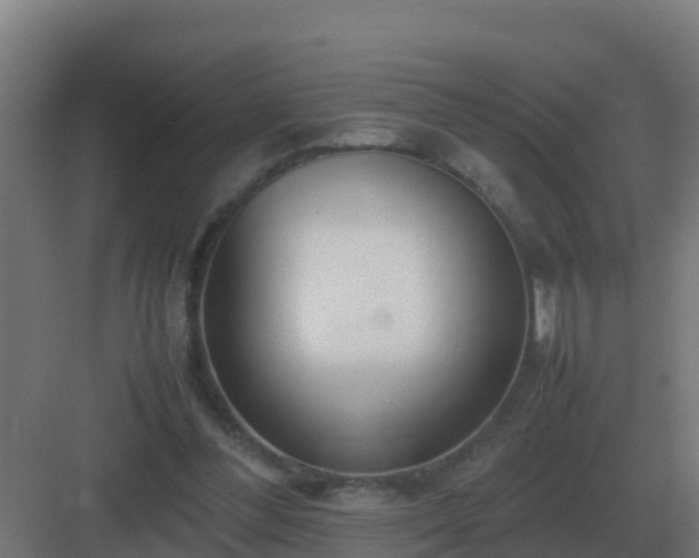 X0000083000300200702081907