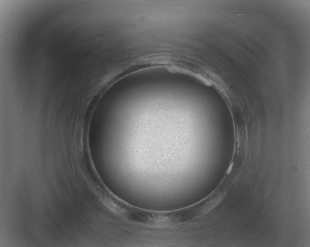 X0000083000301200702081907