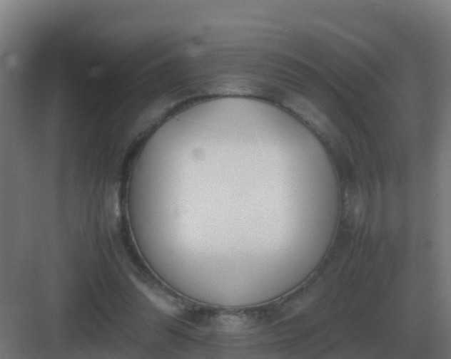 X0000083000302200702081907