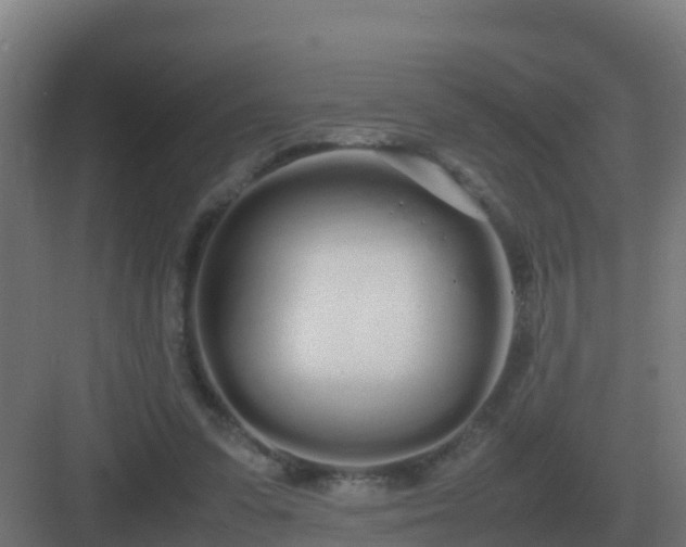 X0000083000303200702081907