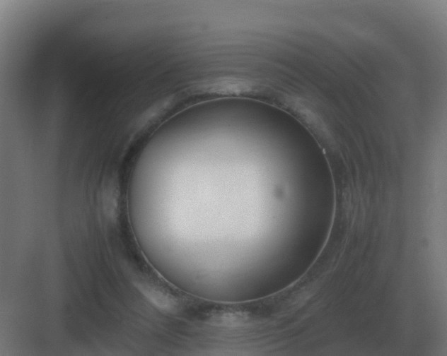 X0000083000304200702081907