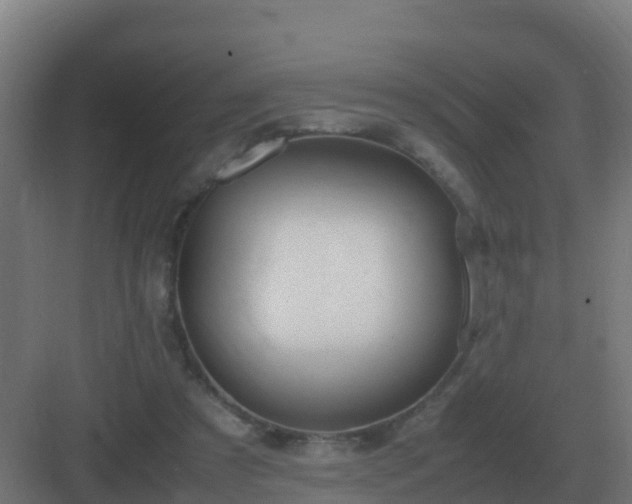 X0000083000305200702081907