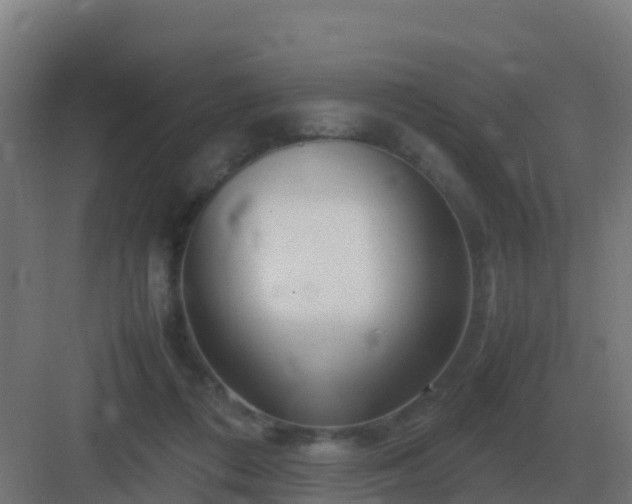 X0000083000312200702081907