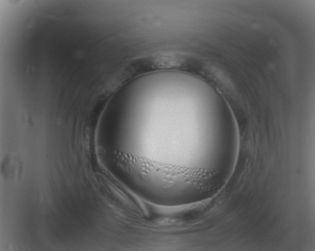 X0000083000315200702081907