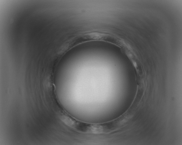 X0000083000317200702081907