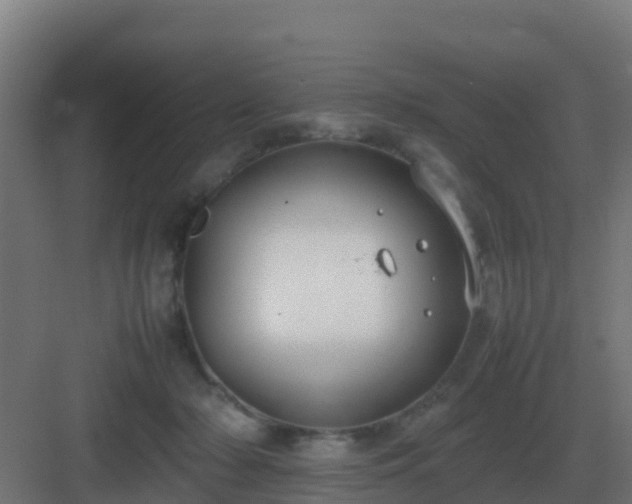 X0000083000318200702081907