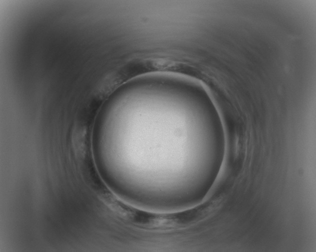 X0000083000319200702081907