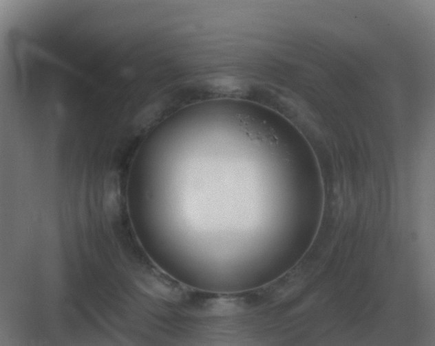 X0000083000320200702081907