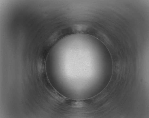 X0000083000324200702081907