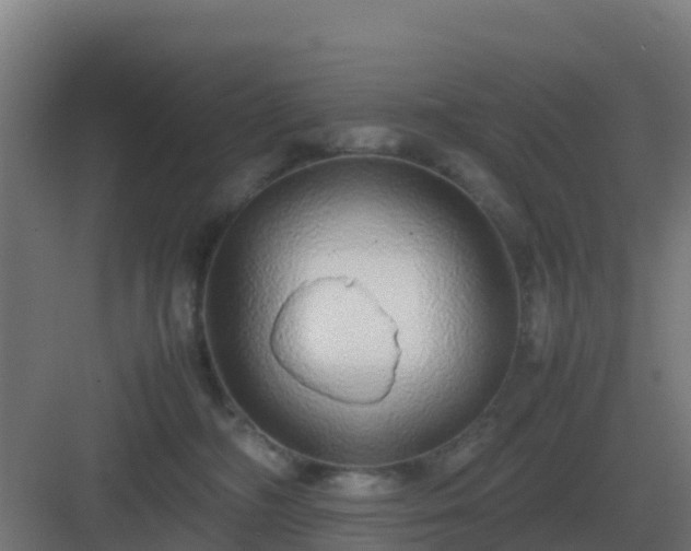 X0000083000326200702081907