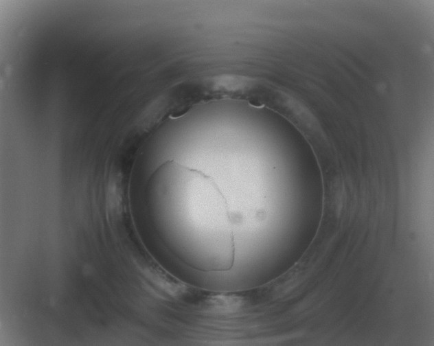 X0000083000328200702081907