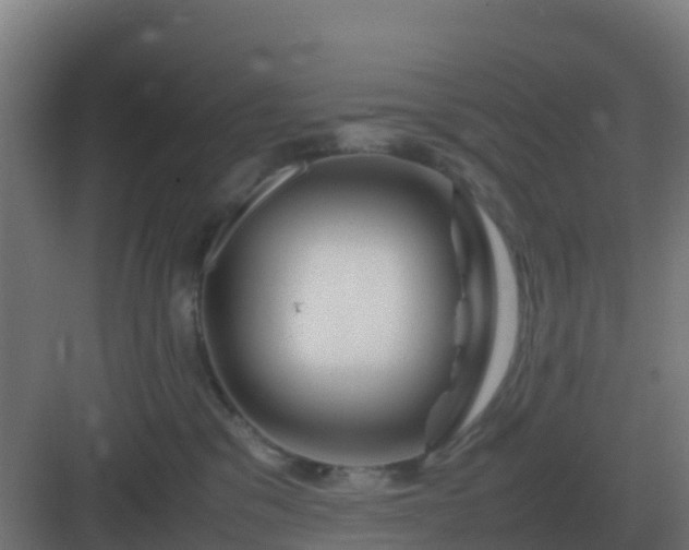 X0000083000329200702081907