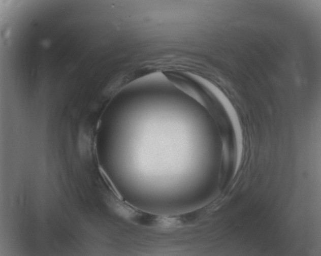 X0000083000333200702081907