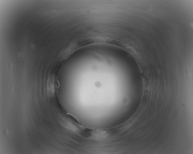 X0000083000334200702081907