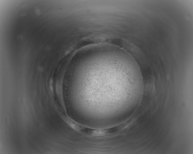 X0000083000335200702081907