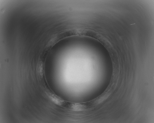 X0000083000336200702081907