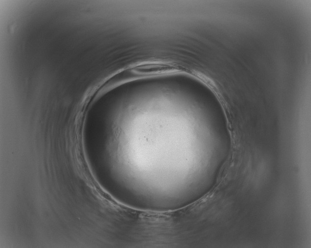 X0000083000337200702081906