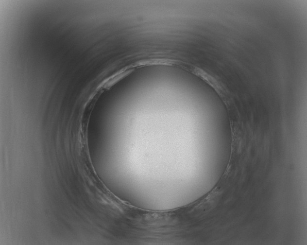 X0000083000338200702081906