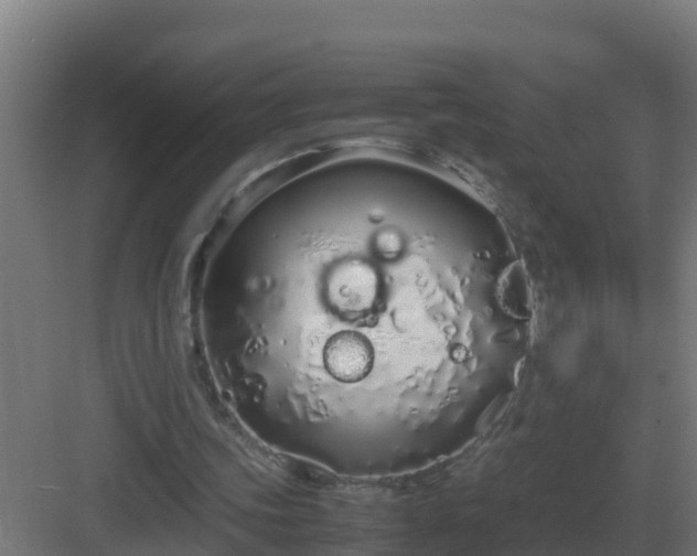 X0000083000339200702081906